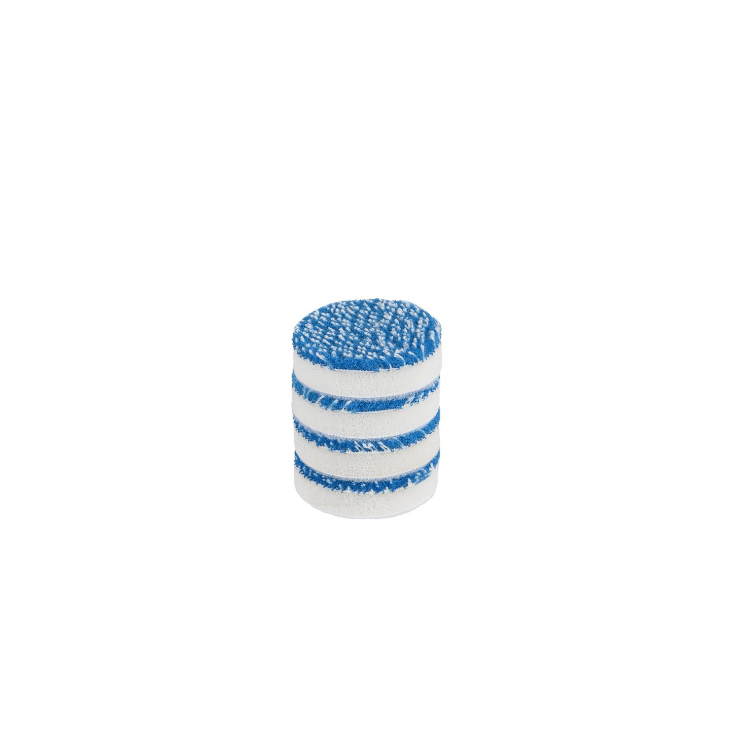Polishing Pad - Beast