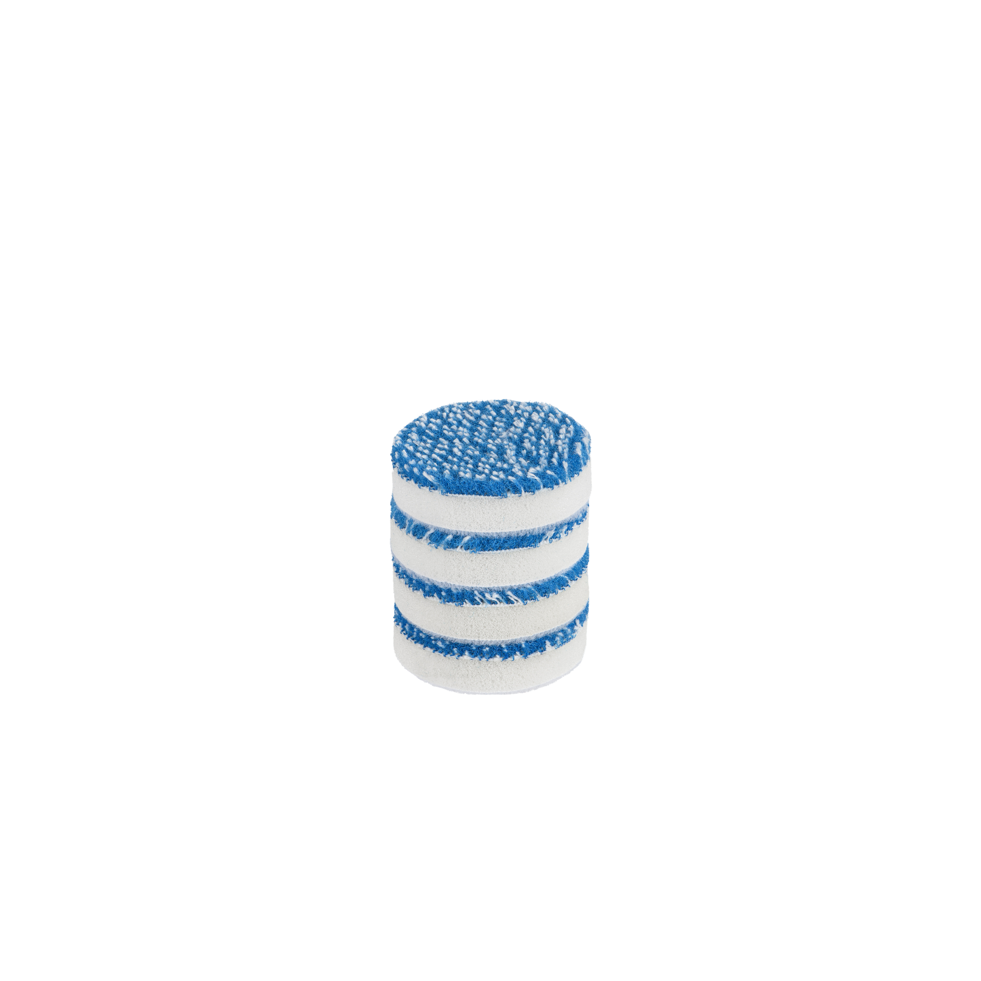 Polishing Pad - Beast