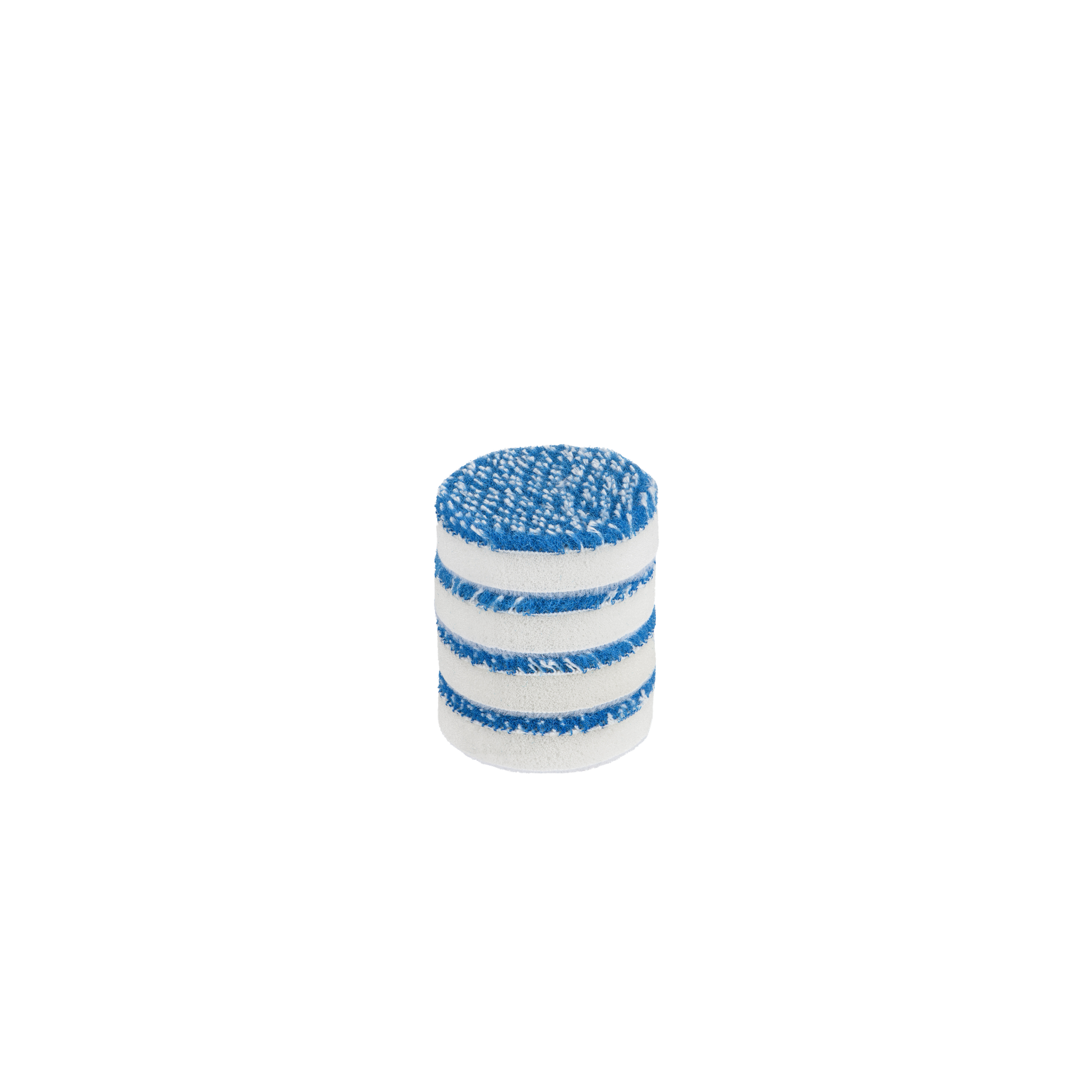 Polishing Pad - Beast